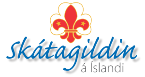 nytt.skatagildi.is Logo